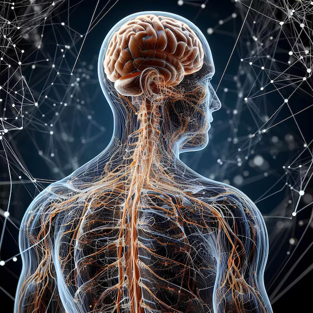 Hope and Recovery - Neurological Support