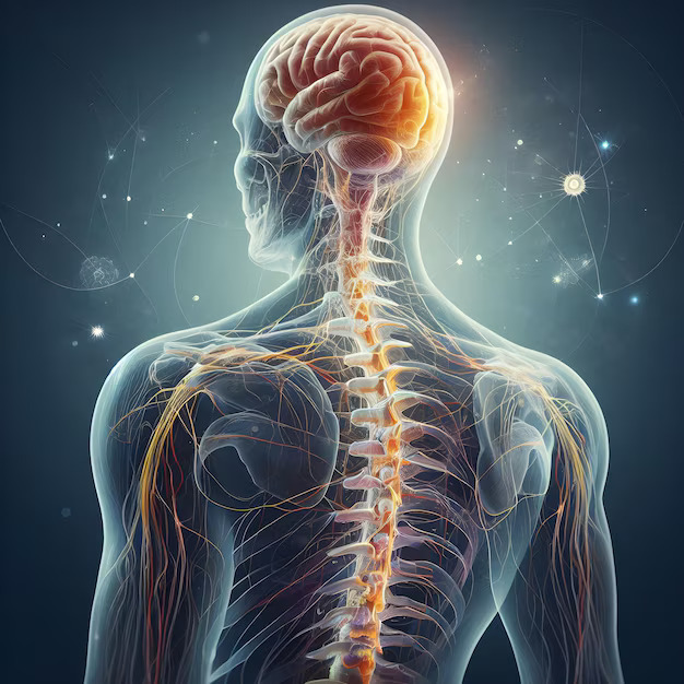 Neurological Care and Support Services